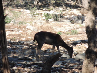 Filename=DSCN3673.JPG
Filesize=6166KiB
Dimensions=4608x3456
Date added=Sep 25, 2019 DSCN3673.JPG