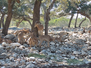 Filename=DSCN3681.JPG
Filesize=5813KiB
Dimensions=4608x3456
Date added=Sep 25, 2019 DSCN3681.JPG