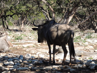 Filename=DSCN3706.JPG
Filesize=6133KiB
Dimensions=4608x3456
Date added=Sep 25, 2019 DSCN3706.JPG