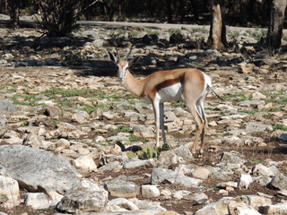 Filename=DSCN3711.JPG
Filesize=6387KiB
Dimensions=4608x3456
Date added=Sep 25, 2019 DSCN3711.JPG