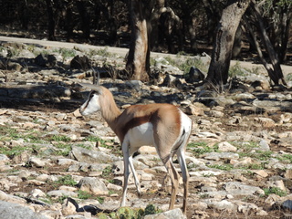 Filename=DSCN3713.JPG
Filesize=6374KiB
Dimensions=4608x3456
Date added=Sep 25, 2019 DSCN3713.JPG