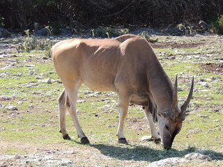 Filename=DSCN3727.JPG
Filesize=5802KiB
Dimensions=4608x3456
Date added=Sep 25, 2019 DSCN3727.JPG