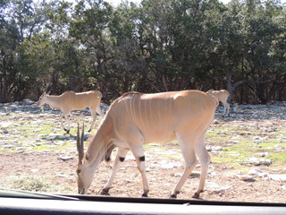 Filename=DSCN3741.JPG
Filesize=5624KiB
Dimensions=4608x3456
Date added=Sep 25, 2019 DSCN3741.JPG