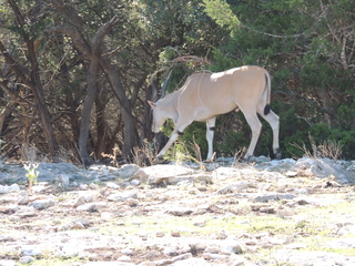 Filename=DSCN3743.JPG
Filesize=6206KiB
Dimensions=4608x3456
Date added=Sep 25, 2019 DSCN3743.JPG