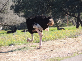 Filename=DSCN3757.JPG
Filesize=6055KiB
Dimensions=4608x3456
Date added=Sep 25, 2019 DSCN3757.JPG