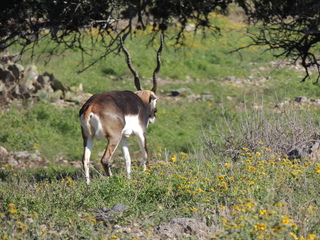 Filename=DSCN3768.JPG
Filesize=6285KiB
Dimensions=4608x3456
Date added=Sep 25, 2019 DSCN3768.JPG