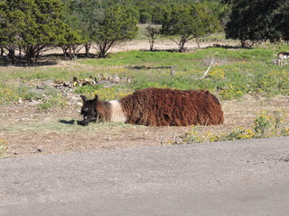 Filename=DSCN3769.JPG
Filesize=5818KiB
Dimensions=4608x3456
Date added=Sep 25, 2019 DSCN3769.JPG