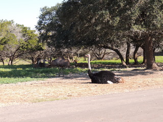 Filename=DSCN3778.JPG
Filesize=5817KiB
Dimensions=4608x3456
Date added=Sep 25, 2019 DSCN3778.JPG