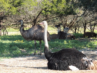 Filename=DSCN3779.JPG
Filesize=6079KiB
Dimensions=4608x3456
Date added=Sep 25, 2019 DSCN3779.JPG