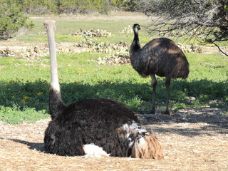 Filename=DSCN3781.JPG
Filesize=5922KiB
Dimensions=4608x3456
Date added=Sep 25, 2019 DSCN3781.JPG