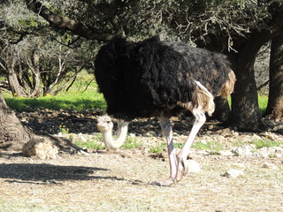 Filename=DSCN3782.JPG
Filesize=5794KiB
Dimensions=4608x3456
Date added=Sep 25, 2019 DSCN3782.JPG