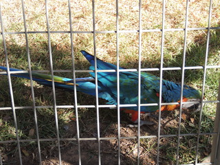 Filename=DSCN3800.JPG
Filesize=5938KiB
Dimensions=4608x3456
Date added=Sep 25, 2019 DSCN3800.JPG