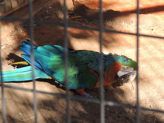 Filename=DSCN3801.JPG
Filesize=6111KiB
Dimensions=4608x3456
Date added=Sep 25, 2019 DSCN3801.JPG