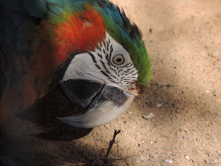 Filename=DSCN3805.JPG
Filesize=5727KiB
Dimensions=4608x3456
Date added=Sep 25, 2019 DSCN3805.JPG