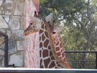 Filename=DSCN3810.JPG
Filesize=6311KiB
Dimensions=4608x3456
Date added=Sep 25, 2019 DSCN3810.JPG