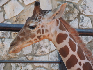 Filename=DSCN3812.JPG
Filesize=5753KiB
Dimensions=4608x3456
Date added=Sep 25, 2019 DSCN3812.JPG