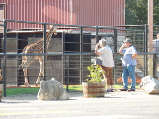 Filename=DSCN3818.JPG
Filesize=6273KiB
Dimensions=4608x3456
Date added=Sep 26, 2019 DSCN3818.JPG