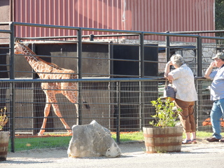 Filename=DSCN3819.JPG
Filesize=6269KiB
Dimensions=4608x3456
Date added=Sep 26, 2019 DSCN3819.JPG