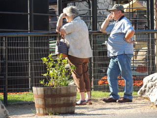 Filename=DSCN3820.JPG
Filesize=6312KiB
Dimensions=4608x3456
Date added=Sep 26, 2019 DSCN3820.JPG