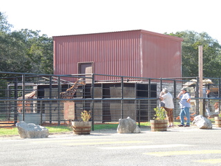 Filename=DSCN3821.JPG
Filesize=6223KiB
Dimensions=4608x3456
Date added=Sep 26, 2019 DSCN3821.JPG