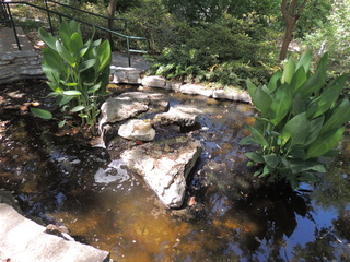 Filename=DSCN3962.JPG
Filesize=5554KiB
Dimensions=4608x3456
Date added=Sep 27, 2019 DSCN3962.JPG