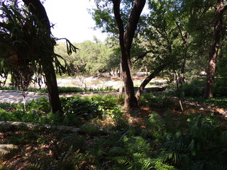 Filename=DSCN3965.JPG
Filesize=5032KiB
Dimensions=4608x3456
Date added=Sep 27, 2019 DSCN3965.JPG