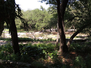 Filename=DSCN3966.JPG
Filesize=5568KiB
Dimensions=4608x3456
Date added=Sep 27, 2019 DSCN3966.JPG