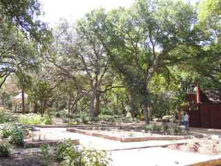 Filename=DSCN3969.JPG
Filesize=4982KiB
Dimensions=4608x3456
Date added=Sep 27, 2019 DSCN3969.JPG