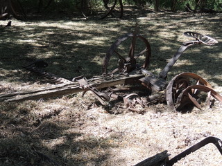 Filename=DSCN3972.JPG
Filesize=5793KiB
Dimensions=4608x3456
Date added=Sep 27, 2019 DSCN3972.JPG