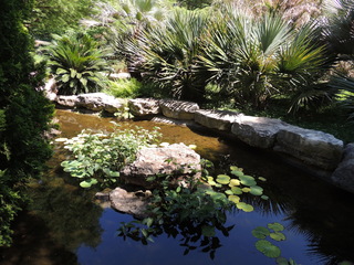 Filename=DSCN3977.JPG
Filesize=5342KiB
Dimensions=4608x3456
Date added=Sep 27, 2019 DSCN3977.JPG