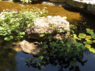 Filename=DSCN3978.JPG
Filesize=5968KiB
Dimensions=4608x3456
Date added=Sep 27, 2019 DSCN3978.JPG