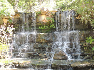 Filename=DSCN3985.JPG
Filesize=6107KiB
Dimensions=4608x3456
Date added=Sep 27, 2019 DSCN3985.JPG