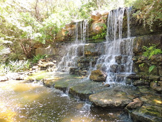 Filename=DSCN3991.JPG
Filesize=5050KiB
Dimensions=4608x3456
Date added=Sep 27, 2019 DSCN3991.JPG