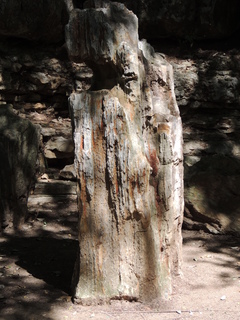 Filename=DSCN3994.JPG
Filesize=6305KiB
Dimensions=3456x4608
Date added=Sep 27, 2019 DSCN3994.JPG