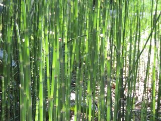 Filename=DSCN3995.JPG
Filesize=6243KiB
Dimensions=4608x3456
Date added=Sep 27, 2019 DSCN3995.JPG