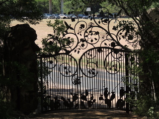 Filename=DSCN4002.JPG
Filesize=6222KiB
Dimensions=4608x3456
Date added=Sep 27, 2019 DSCN4002.JPG