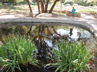 Filename=DSCN4013.JPG
Filesize=5168KiB
Dimensions=4608x3456
Date added=Sep 27, 2019 DSCN4013.JPG