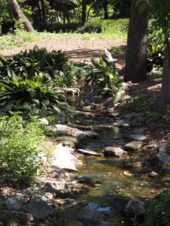 Filename=DSCN4017.JPG
Filesize=6051KiB
Dimensions=3456x4608
Date added=Sep 27, 2019 DSCN4017.JPG