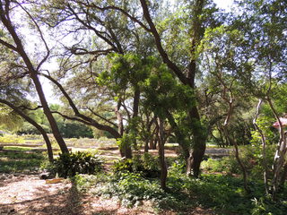 Filename=DSCN4018.JPG
Filesize=4732KiB
Dimensions=4608x3456
Date added=Sep 27, 2019 DSCN4018.JPG