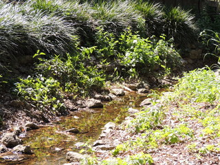 Filename=DSCN4020.JPG
Filesize=5599KiB
Dimensions=4608x3456
Date added=Sep 27, 2019 DSCN4020.JPG