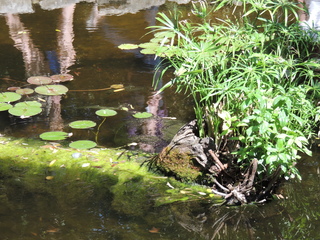 Filename=DSCN4025.JPG
Filesize=6330KiB
Dimensions=4608x3456
Date added=Sep 27, 2019 DSCN4025.JPG