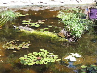 Filename=DSCN4026.JPG
Filesize=6283KiB
Dimensions=4608x3456
Date added=Sep 27, 2019 DSCN4026.JPG