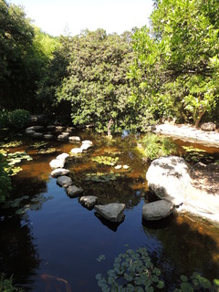 Filename=DSCN4028.JPG
Filesize=5206KiB
Dimensions=3456x4608
Date added=Sep 27, 2019 DSCN4028.JPG