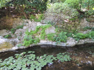 Filename=DSCN4043.JPG
Filesize=5342KiB
Dimensions=4608x3456
Date added=Sep 27, 2019 DSCN4043.JPG