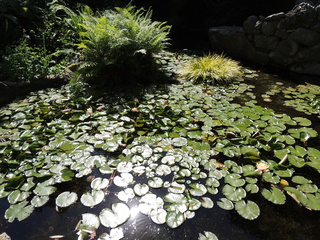 Filename=DSCN4044.JPG
Filesize=5604KiB
Dimensions=4608x3456
Date added=Sep 27, 2019 DSCN4044.JPG