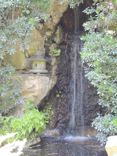 Filename=DSCN4045.JPG
Filesize=6199KiB
Dimensions=3456x4608
Date added=Sep 27, 2019 DSCN4045.JPG