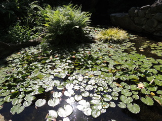 Filename=DSCN4048.JPG
Filesize=5405KiB
Dimensions=4608x3456
Date added=Sep 27, 2019 DSCN4048.JPG