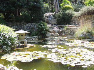 Filename=DSCN4051.JPG
Filesize=5663KiB
Dimensions=4608x3456
Date added=Sep 27, 2019 DSCN4051.JPG