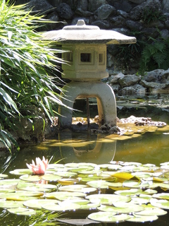 Filename=DSCN4053.JPG
Filesize=6074KiB
Dimensions=3456x4608
Date added=Sep 27, 2019 DSCN4053.JPG