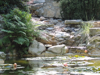 Filename=DSCN4054.JPG
Filesize=6316KiB
Dimensions=4608x3456
Date added=Sep 27, 2019 DSCN4054.JPG